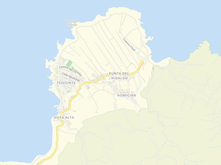 38240 Punta Del Hidalgo, Santa Cruz de Tenerife, Canarias (Canàries), Espanya