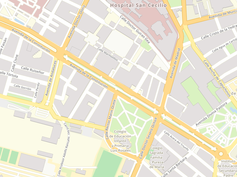 Avenida Constitucion, Granada, Granada, Andalucía, España